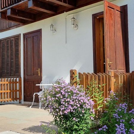 Vila Panselutelor 6 Синая Экстерьер фото